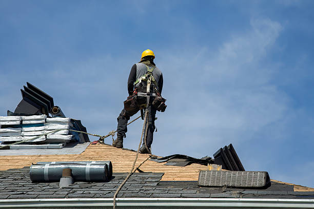 Professional Roof Replacement technician working in Ogema, MN
